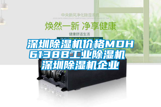 深圳除濕機價格MDH6138B工業除濕機 深圳除濕機企業