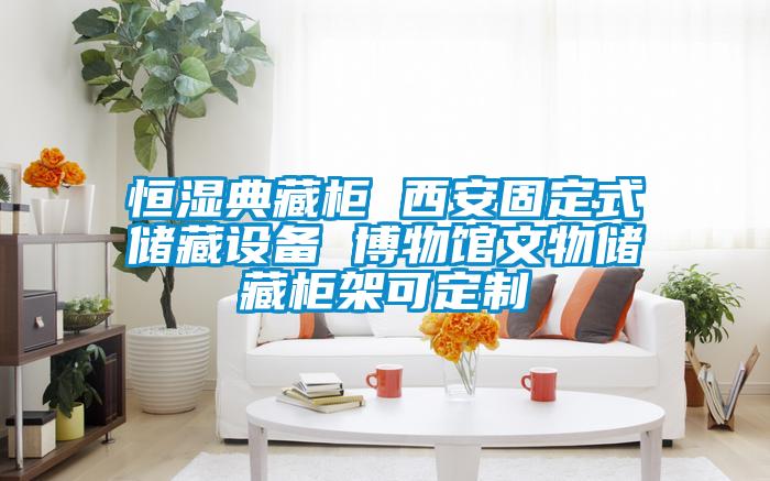 恒濕典藏柜 西安固定式儲藏設備 博物館文物儲藏柜架可定制