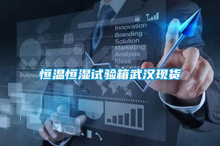恒溫恒濕試驗(yàn)箱武漢現(xiàn)貨