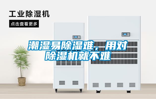 潮濕易除濕難，用對除濕機就不難