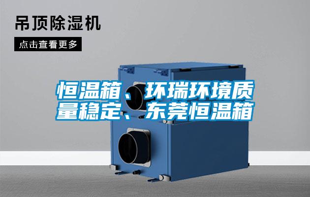 恒溫箱、環瑞環境質量穩定、東莞恒溫箱