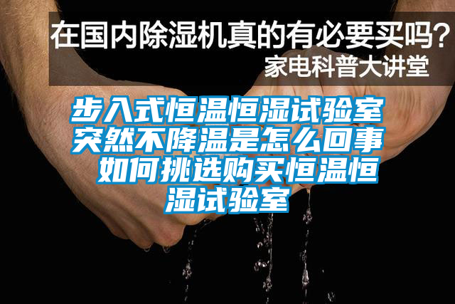 步入式恒溫恒濕試驗室突然不降溫是怎么回事 如何挑選購買恒溫恒濕試驗室