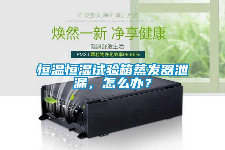 恒溫恒濕試驗箱蒸發(fā)器泄漏，怎么辦？
