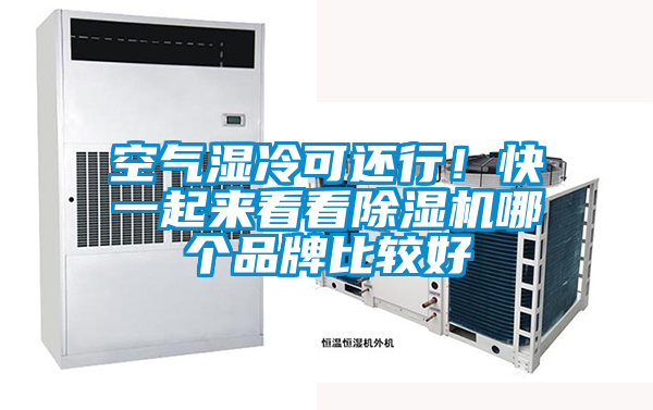 空氣濕冷可還行！快一起來看看除濕機(jī)哪個品牌比較好