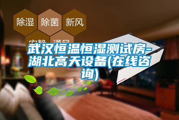 武漢恒溫恒濕測試房-湖北高天設備(在線咨詢)