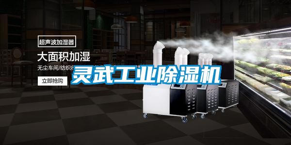 靈武工業除濕機