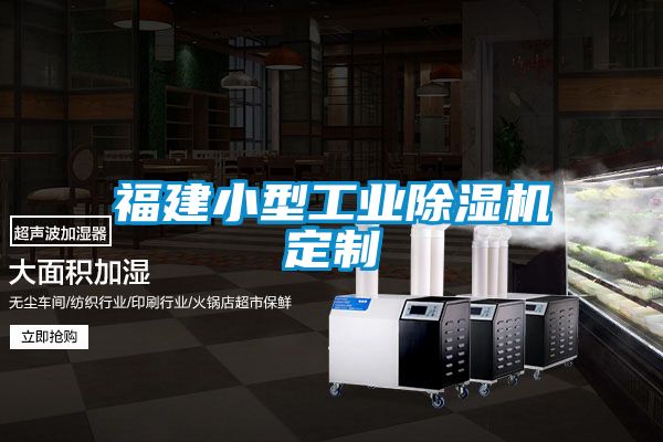 福建小型工業除濕機定制