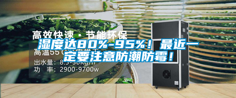 濕度達80%-95%！最近一定要注意防潮防霉！