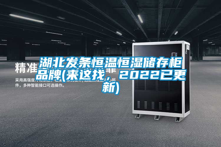 湖北發條恒溫恒濕儲存柜品牌(來這找，2022已更新)