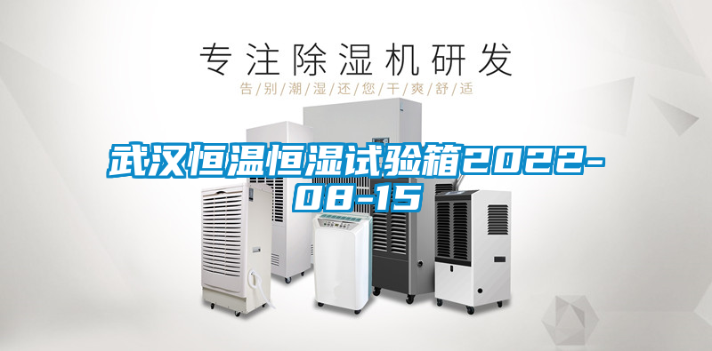 武漢恒溫恒濕試驗箱2022-08-15