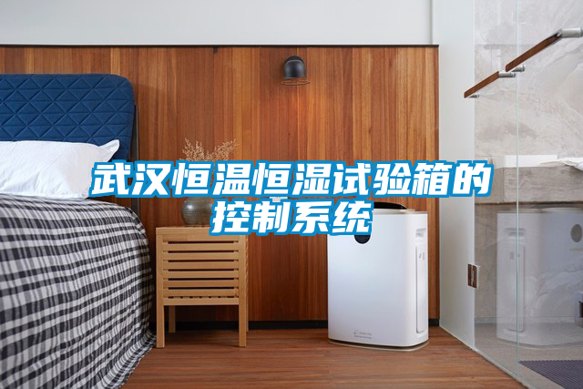 武漢恒溫恒濕試驗箱的控制系統