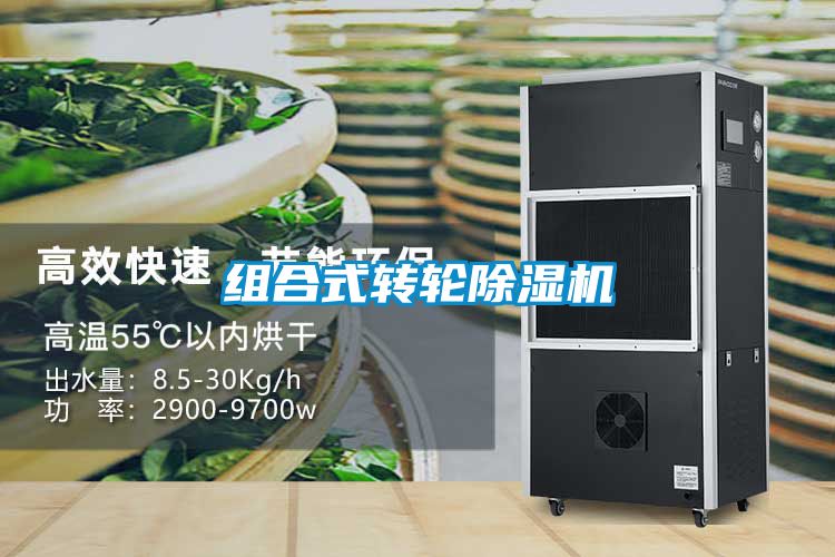 組合式轉(zhuǎn)輪除濕機(jī)