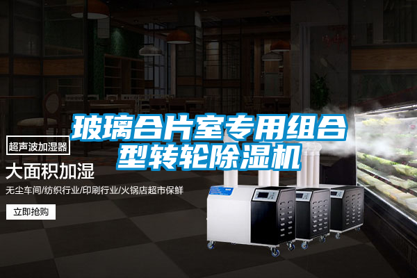 玻璃合片室專用組合型轉(zhuǎn)輪除濕機