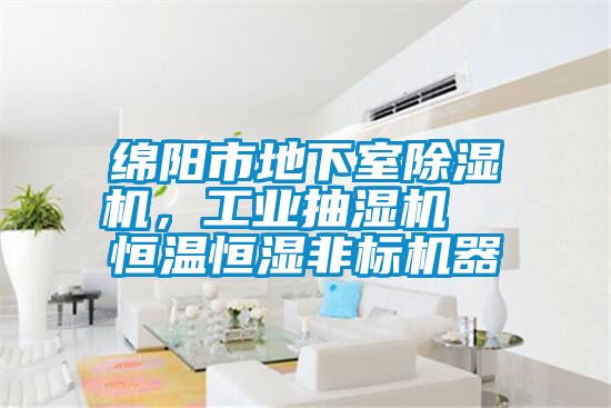 綿陽市地下室除濕機，工業抽濕機  恒溫恒濕非標機器