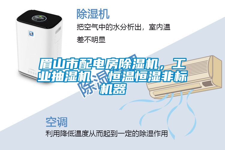 眉山市配電房除濕機，工業抽濕機  恒溫恒濕非標機器