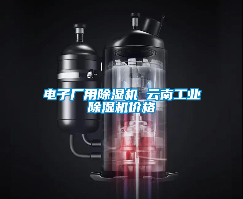 電子廠用除濕機 云南工業除濕機價格