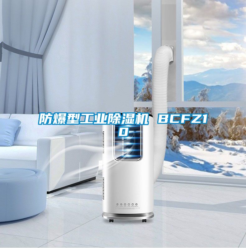 防爆型工業(yè)除濕機(jī) BCFZ10