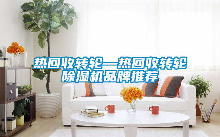 熱回收轉輪—熱回收轉輪除濕機品牌推薦