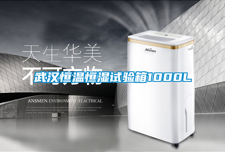 武漢恒溫恒濕試驗箱1000L