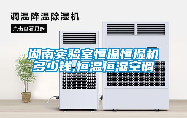 湖南實(shí)驗(yàn)室恒溫恒濕機(jī)多少錢(qián),恒溫恒濕空調(diào)