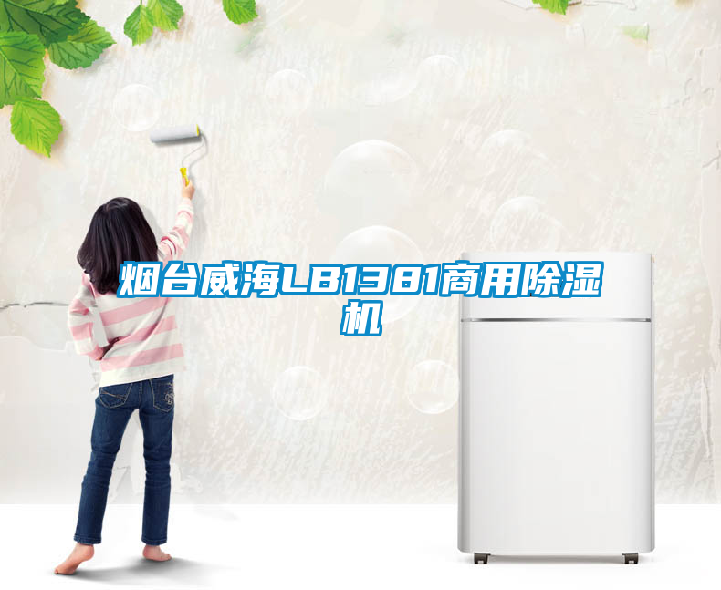 煙臺威海LB1381商用除濕機