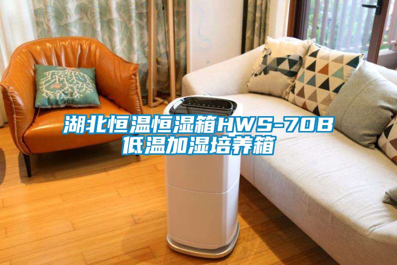 湖北恒溫恒濕箱HWS-70B低溫加濕培養箱