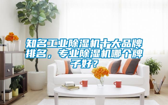 知名工業除濕機十大品牌排名，專業除濕機哪個牌子好？