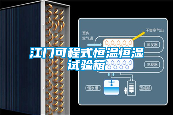 江門可程式恒溫恒濕試驗箱