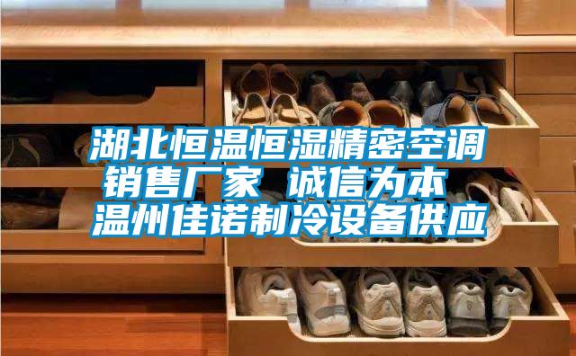 湖北恒溫恒濕精密空調銷售廠家 誠信為本 溫州佳諾制冷設備供應