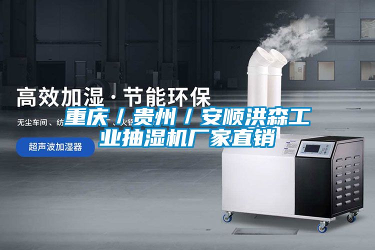 重慶／貴州／安順洪森工業(yè)抽濕機(jī)廠家直銷