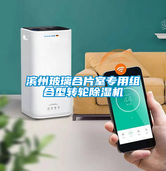 濱州玻璃合片室專用組合型轉輪除濕機