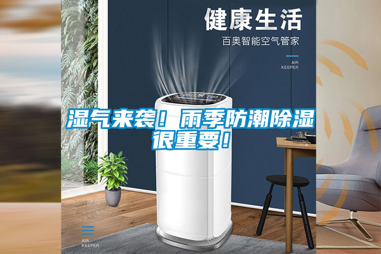 濕氣來襲！雨季防潮除濕很重要！