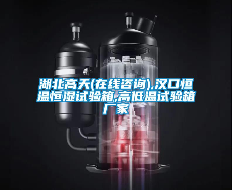 湖北高天(在線咨詢(xún)),漢口恒溫恒濕試驗(yàn)箱,高低溫試驗(yàn)箱廠家