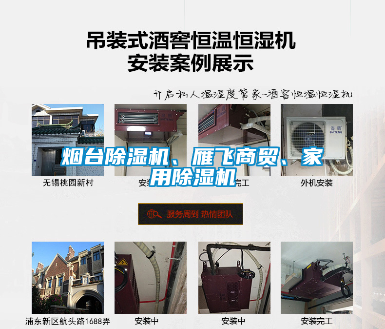 煙臺除濕機、雁飛商貿、家用除濕機