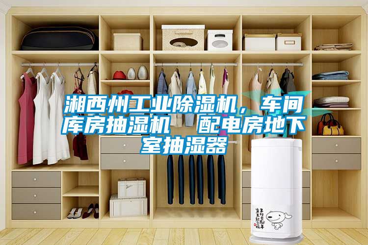 湘西州工業除濕機，車間庫房抽濕機  配電房地下室抽濕器