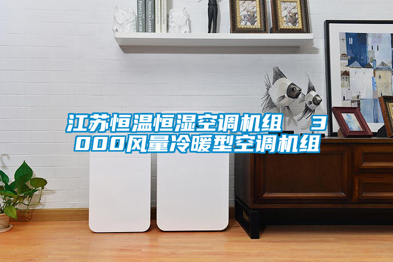 江蘇恒溫恒濕空調(diào)機組  3000風(fēng)量冷暖型空調(diào)機組