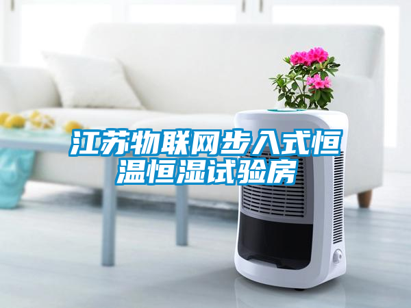 江蘇物聯網步入式恒溫恒濕試驗房