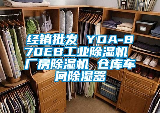 經銷批發 YDA-870EB工業除濕機 廠房除濕機 倉庫車間除濕器