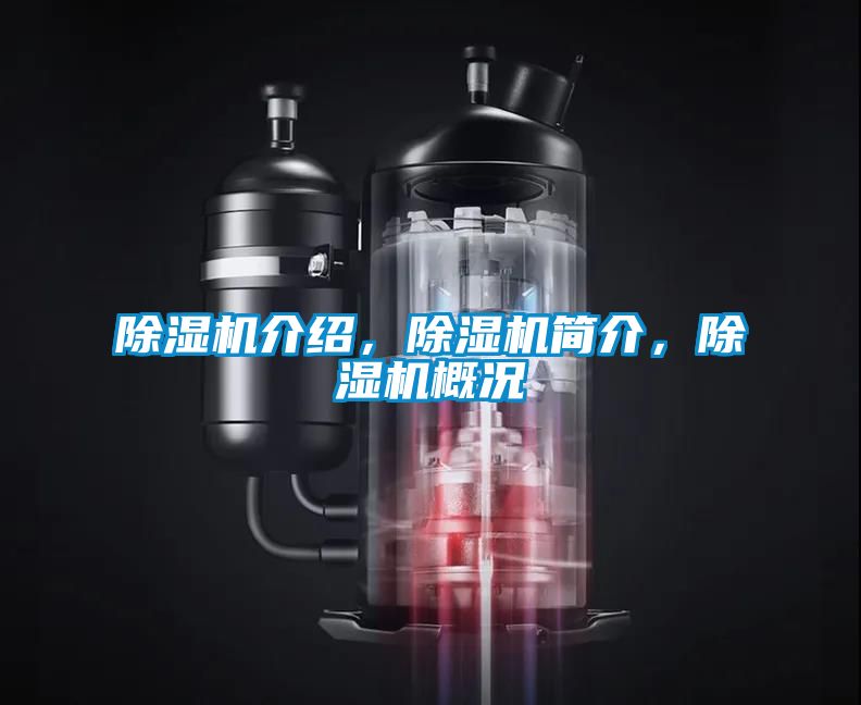 除濕機介紹，除濕機簡介，除濕機概況