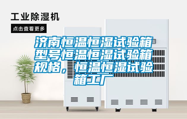 濟南恒溫恒濕試驗箱型號恒溫恒濕試驗箱規格，恒溫恒濕試驗箱工廠