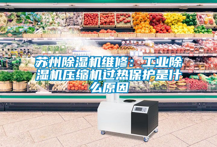 蘇州除濕機維修：工業(yè)除濕機壓縮機過熱保護是什么原因