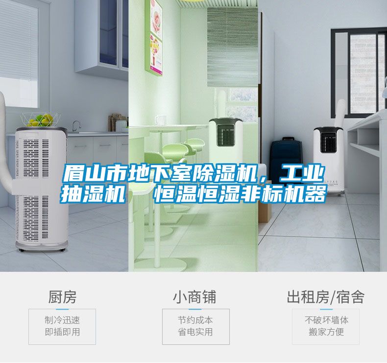 眉山市地下室除濕機，工業抽濕機  恒溫恒濕非標機器