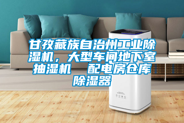 甘孜藏族自治州工業(yè)除濕機(jī)，大型車間地下室抽濕機(jī)  配電房倉(cāng)庫(kù)除濕器