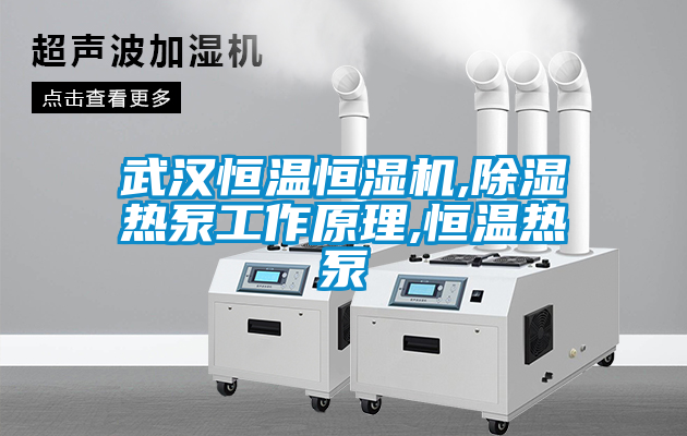 武漢恒溫恒濕機,除濕熱泵工作原理,恒溫熱泵