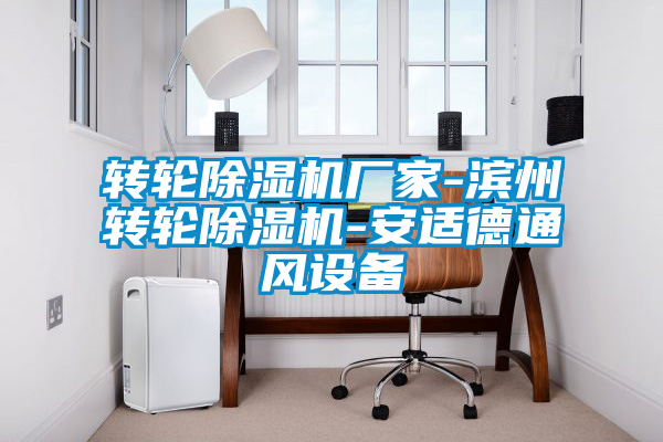 轉(zhuǎn)輪除濕機廠家-濱州轉(zhuǎn)輪除濕機-安適德通風(fēng)設(shè)備