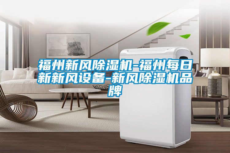 福州新風除濕機-福州每日新新風設備-新風除濕機品牌