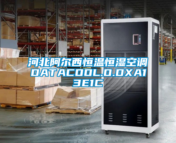 河北阿爾西恒溫恒濕空調DATACOOL.O.DXA13E1C