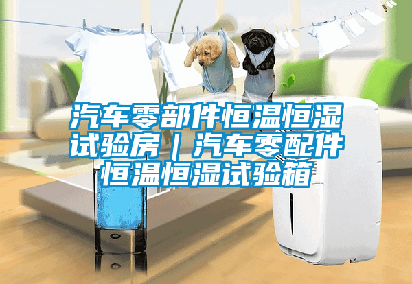 汽車零部件恒溫恒濕試驗房｜汽車零配件恒溫恒濕試驗箱