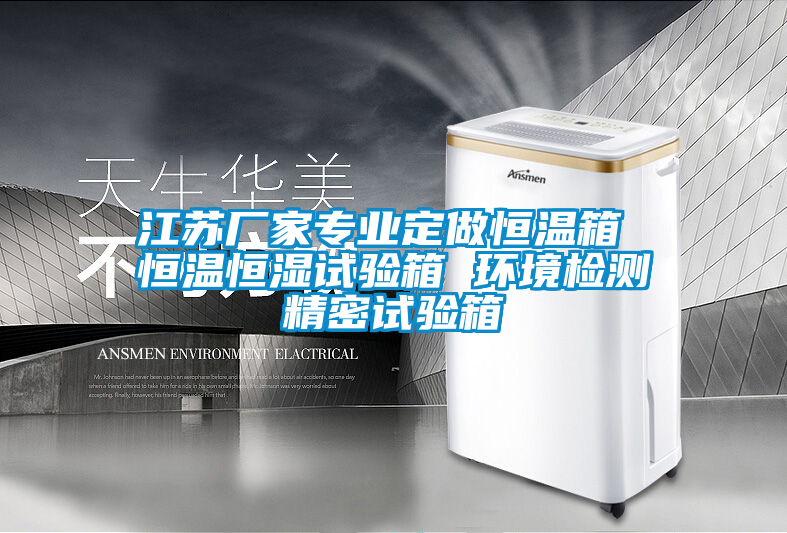 江蘇廠家專業定做恒溫箱 恒溫恒濕試驗箱 環境檢測精密試驗箱