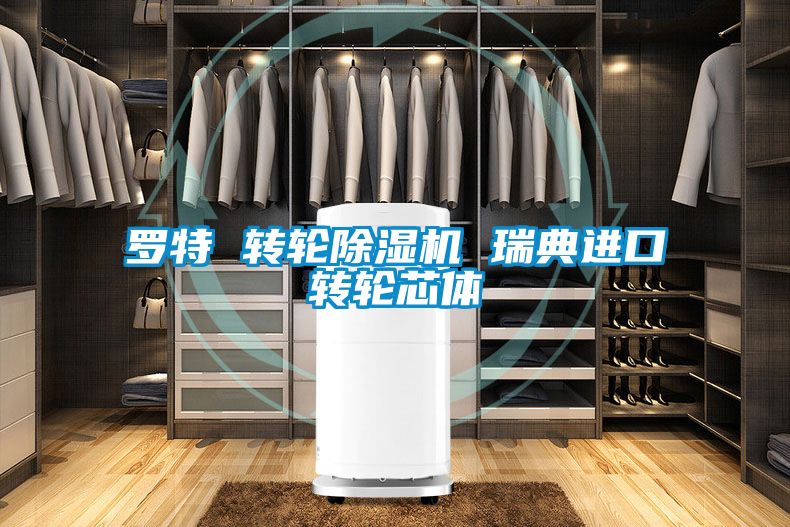 羅特 轉輪除濕機 瑞典進口轉輪芯體